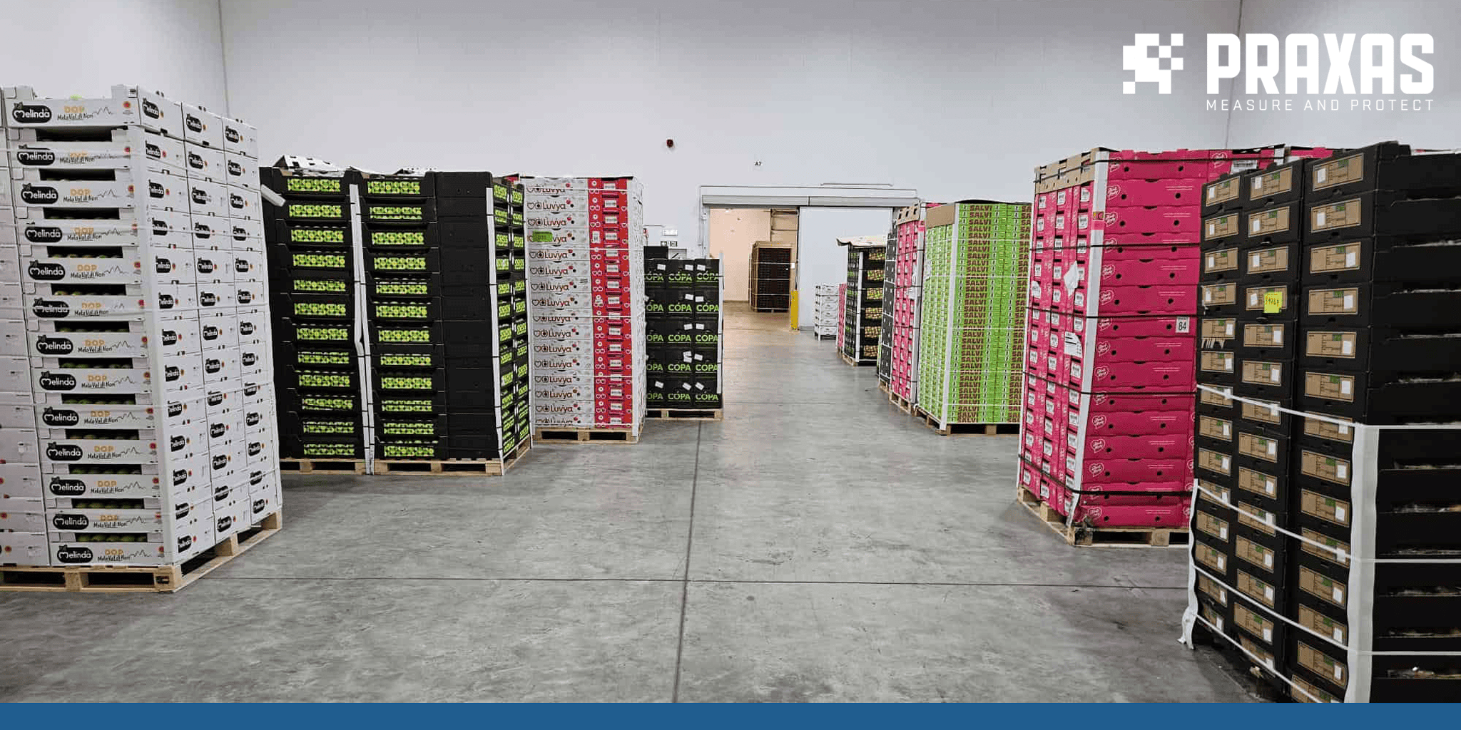 Case Study | Peter Giliding | Food Monitoring | Cutting Food Waste | WiFi Loggers | News Banner