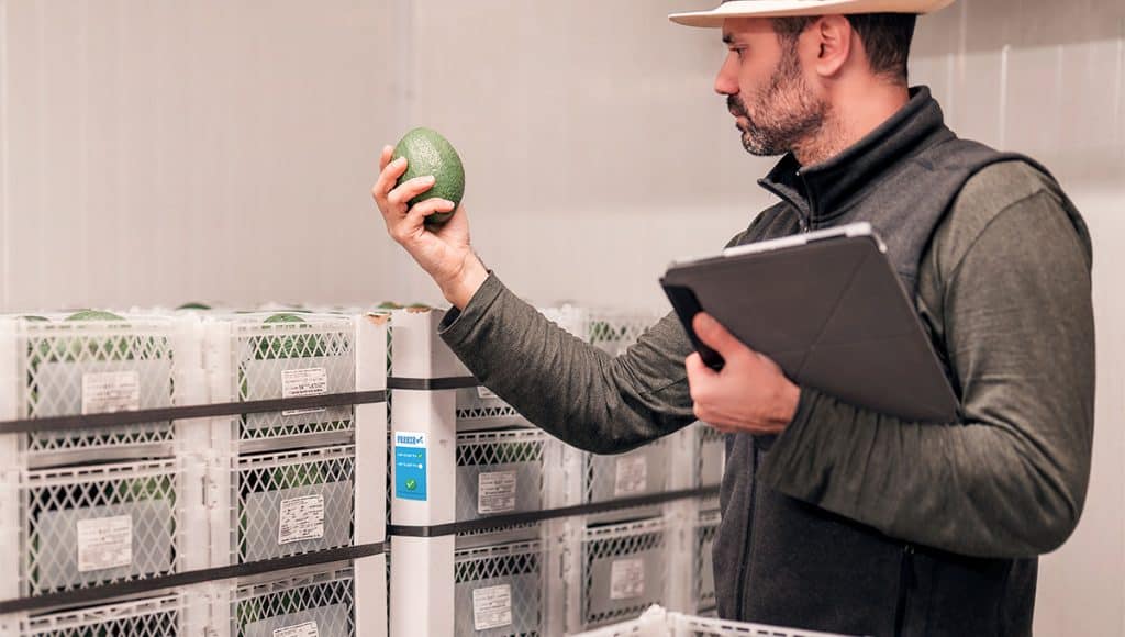 Freeze Check - controllo della frutta | Uomo che tiene la frutta | Protezione della frutta | Logistica alimentare