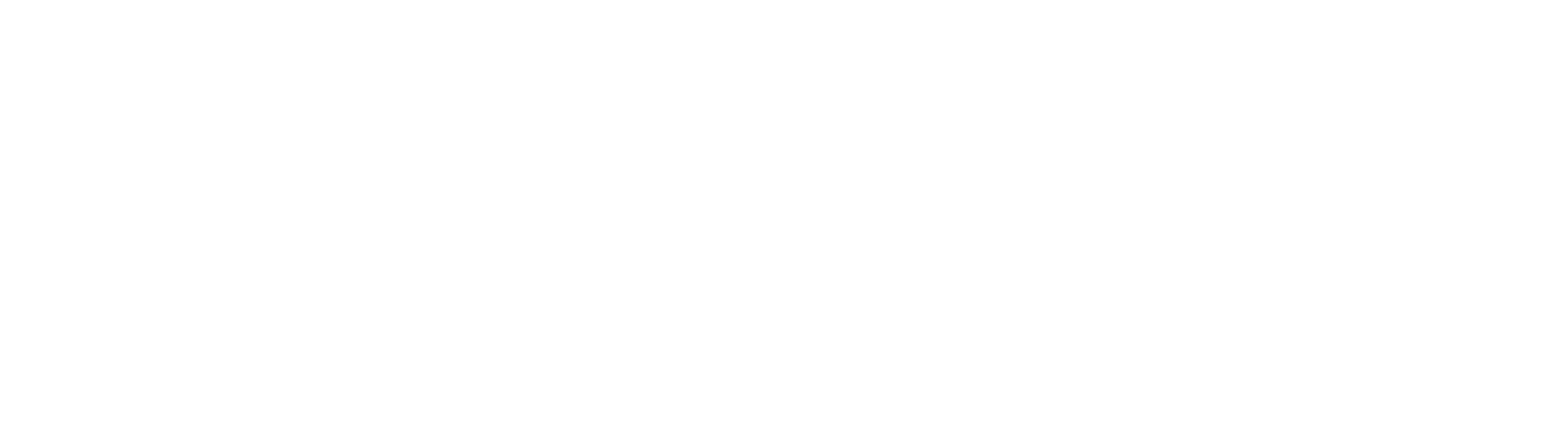 Logo EasyLog - Praxas Homepage BIANCO